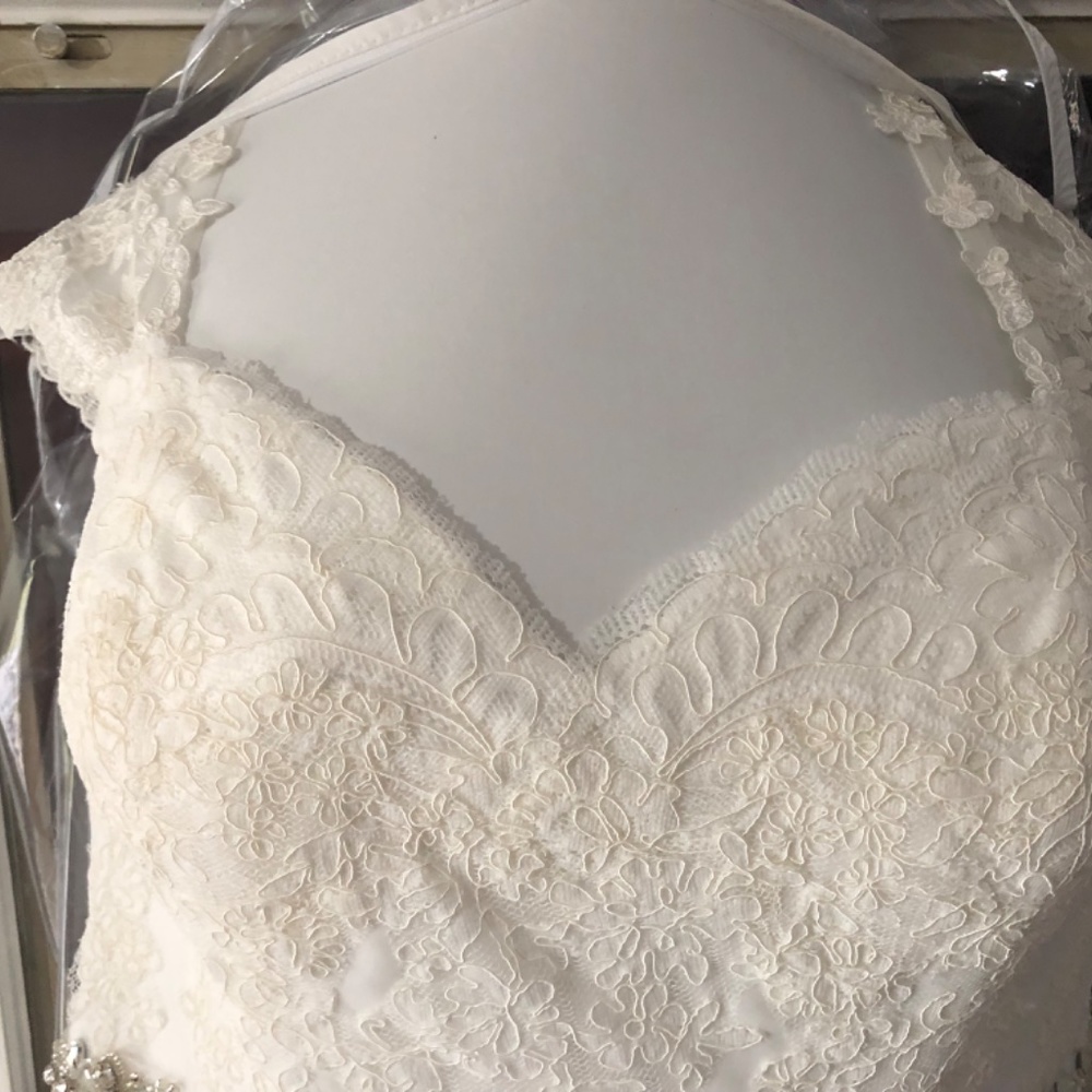 Wedding Dress - Picture 7 of 8